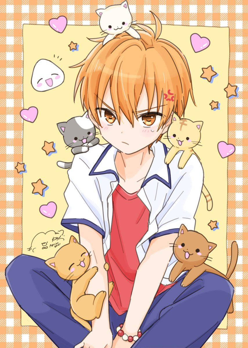 Hawki905